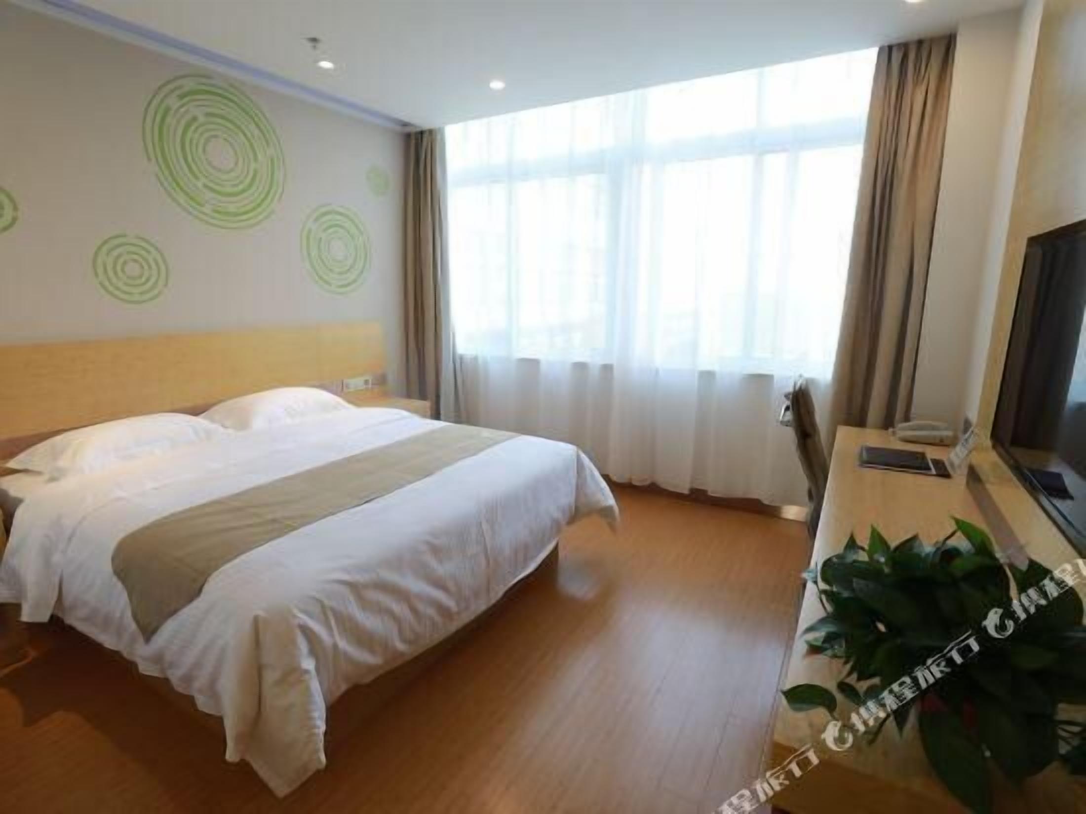 A hotel room with a large bed, a TV, and a plant.