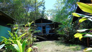 A rustic wooden structure with a thatched roof, surrounded by dense tropical vegetation.