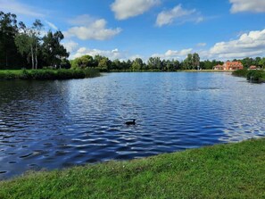 Image sans description, 2 de 18, bouton