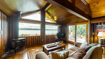 TV, fireplace, books