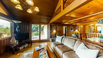 电视、壁炉、书