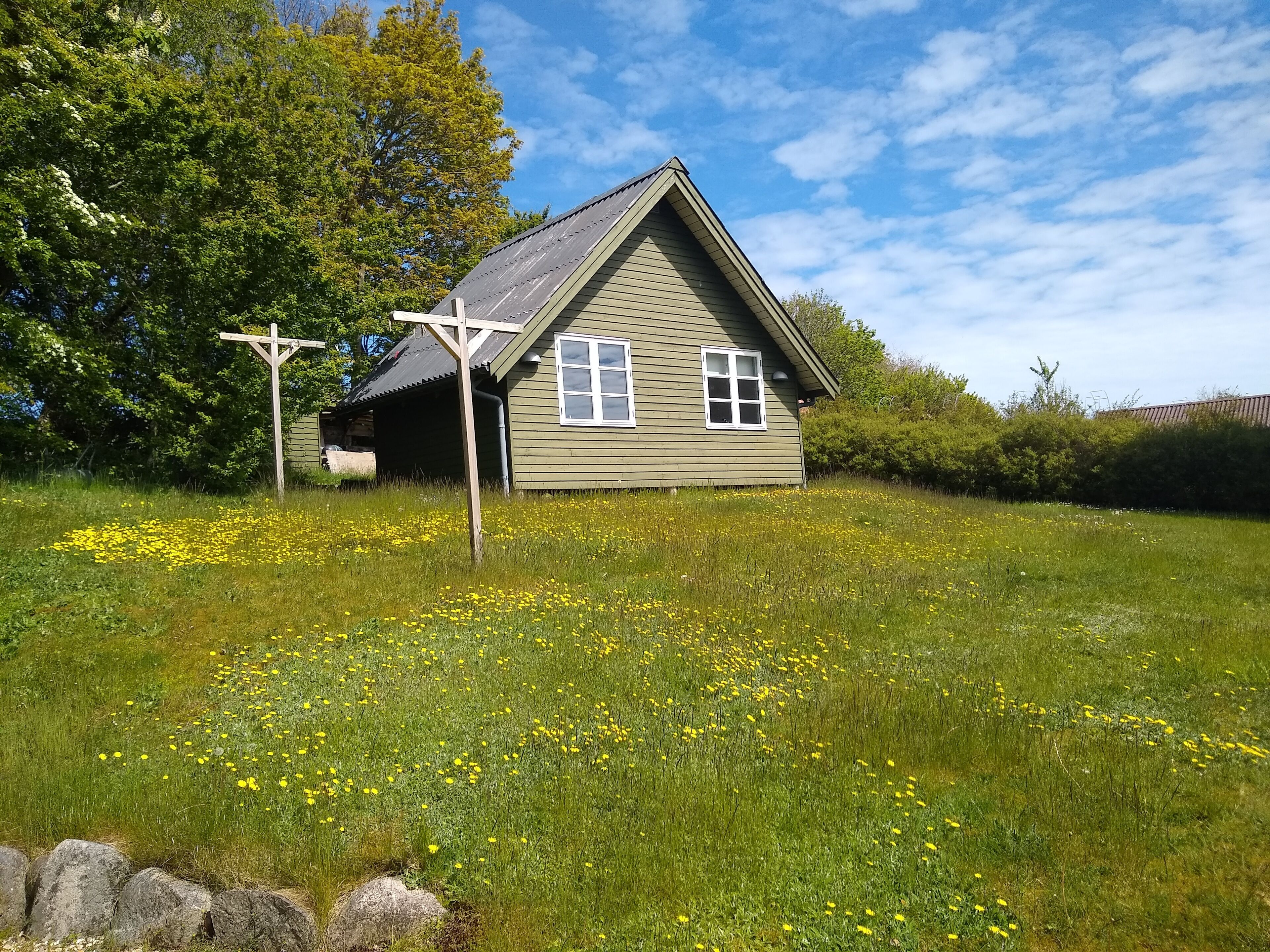 Ein grünes Haus mit geneigtem Dach, umgeben von einem grasbewachsenen Feld mit gelben Blumen, und eine Holzhütte auf der linken Seite.