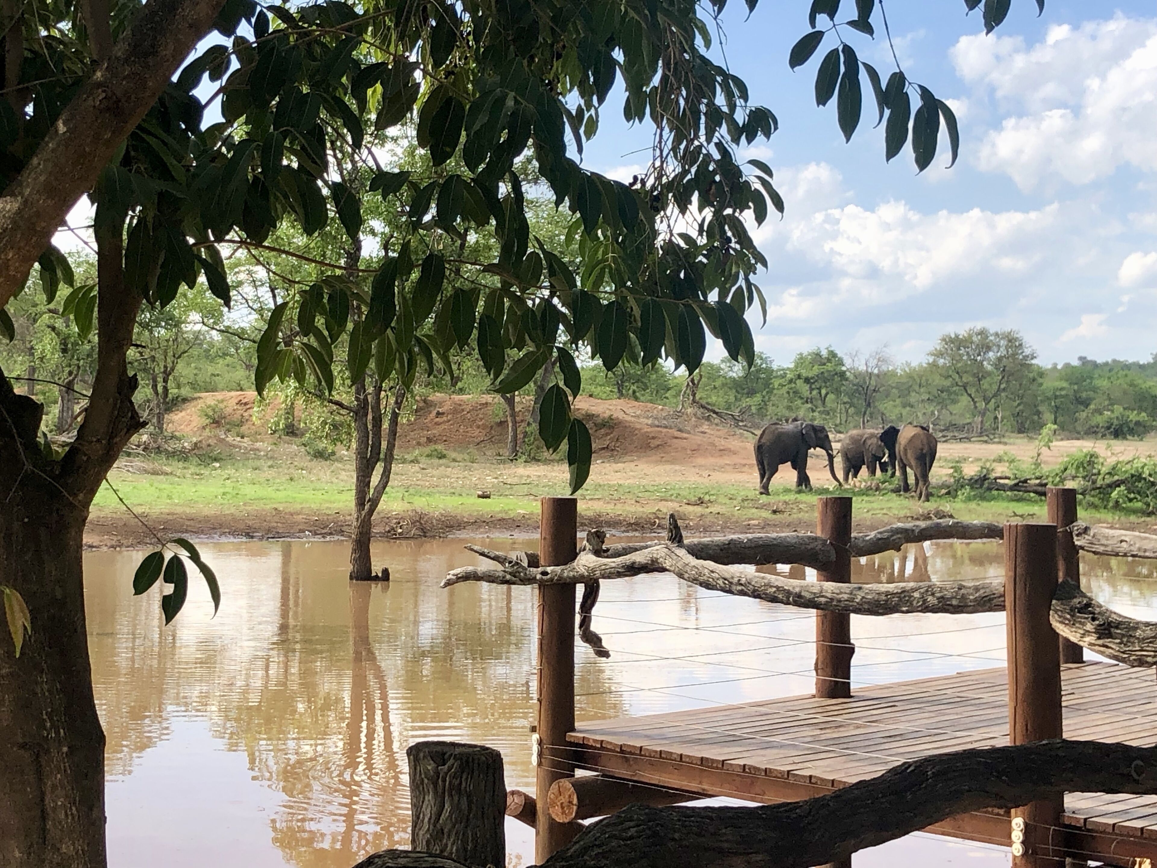 Vista desde la propiedad