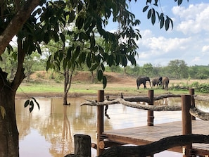 Uitzicht vanuit accommodatie