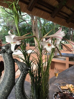 Exterior - Lamai Safari Lodge (Hoedspruit)