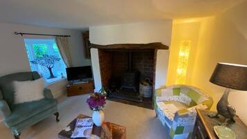 Smart TV, fireplace, DVD player