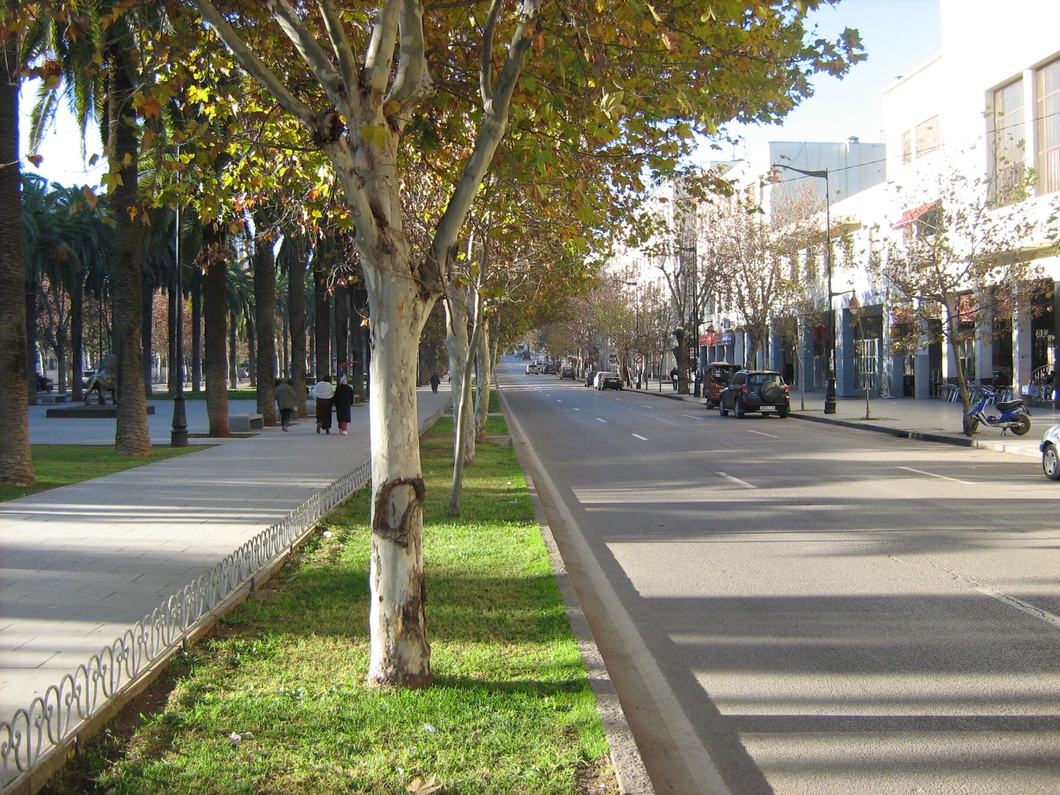 Foto - Beautiful Riad Ouliya in Fs