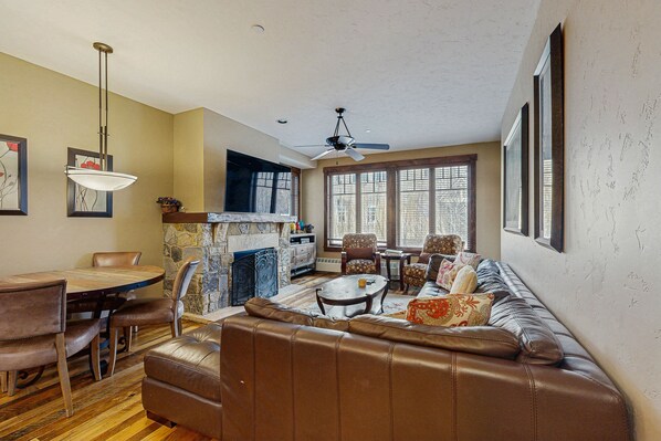 TV, fireplace, DVD player, books
