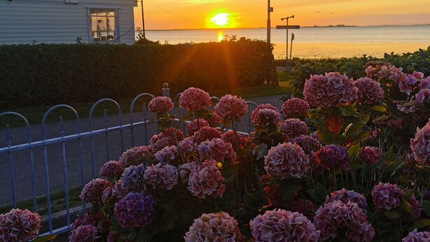 A sunset over a body of water with a white building and a hedge in the foreground. - Watten-Blick-Huisje -view of the Wadden Sea (UNESCO World Heritage Site) (Westerland)