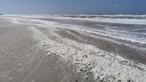 A beach with waves, a clear sky, and a few kites. - Watten-Blick-Huisje -view of the Wadden Sea (UNESCO World Heritage Site) (Westerland)