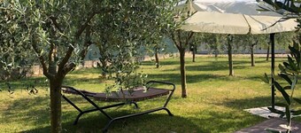 APARTMENT WITH INDEPENDENT BALCONY/TERRACE