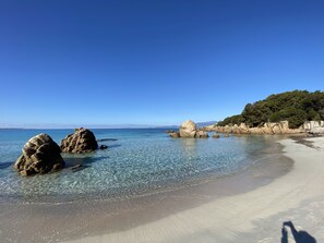 A beach with clear water, large rocks, and a forested hillside.