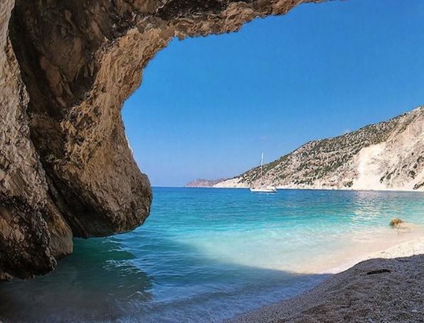 Lettini da mare