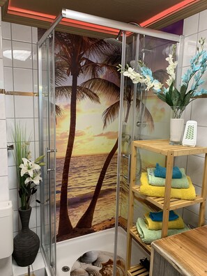 Douche, sèche-cheveux, serviettes fournies, savon