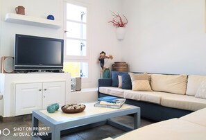 Televisión, chimenea, libros y estéreo 