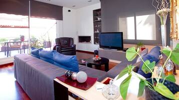 TV connectée, cheminée, lecteur de DVD, livres