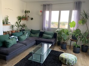 Fernseher, Bücher