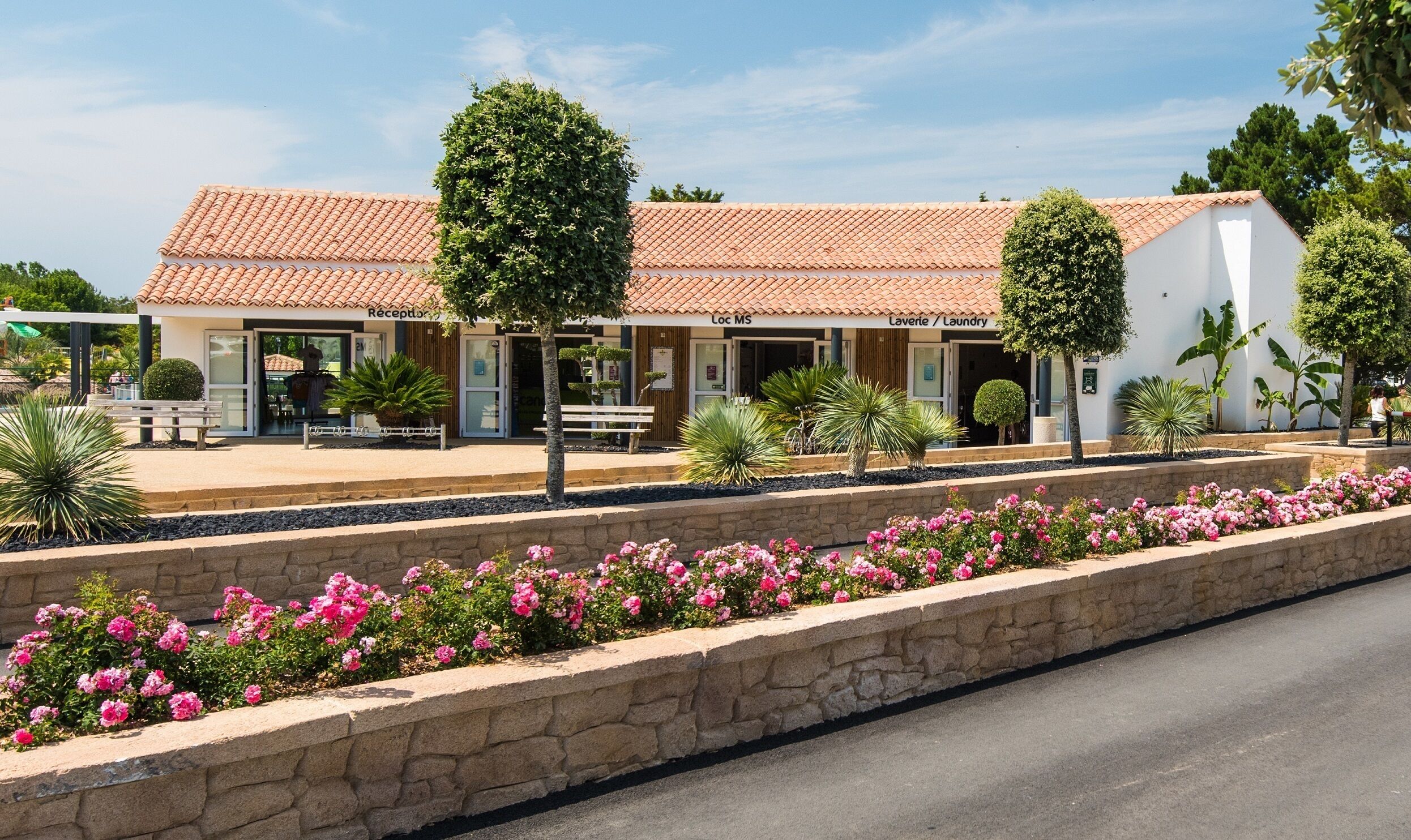 Lavanderia