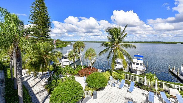 A waterfront property with a dock, lounge chairs, and palm trees. - Beautiful bayfront view! December 2026 dates available now! (Longboat Key)