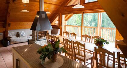 Oz/Alpe d'Huez 110m slopes, up to 21 people, Hammam, en-suite bedrooms