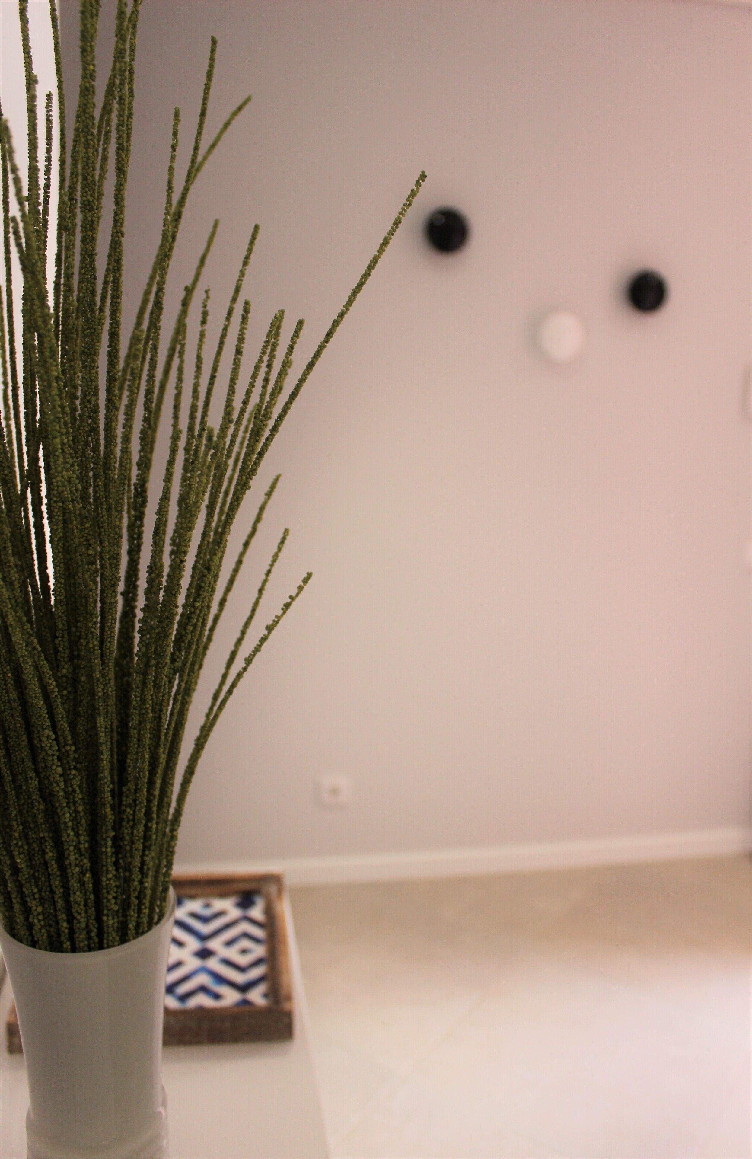 Un vase blanc contenant des plantes vertes, posé sur une surface blanche.