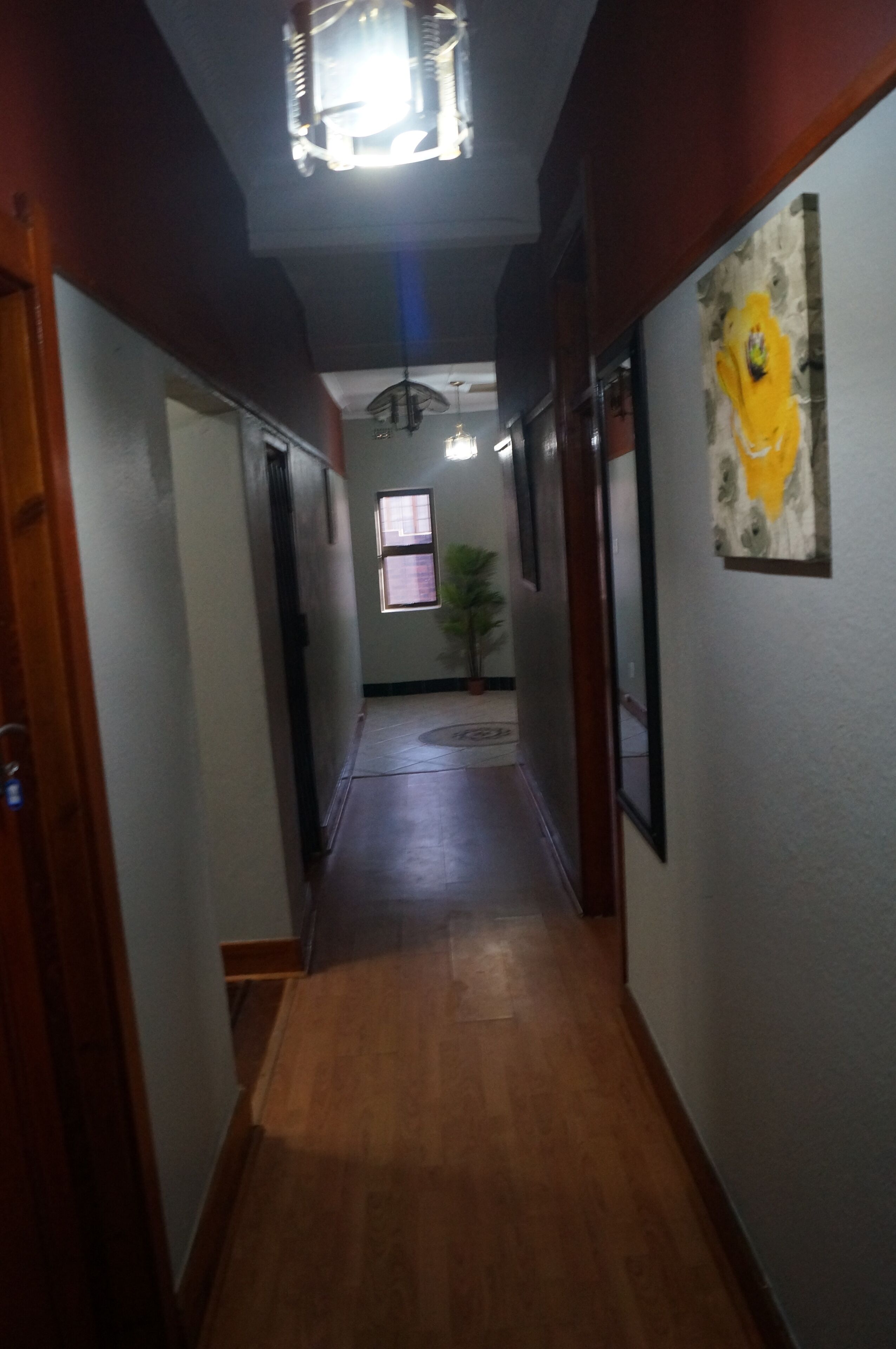 A hallway with wooden floors, a ceiling light, a window, and a potted plant.