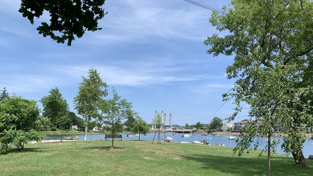 A park with a grassy area, trees, and a lake with boats.