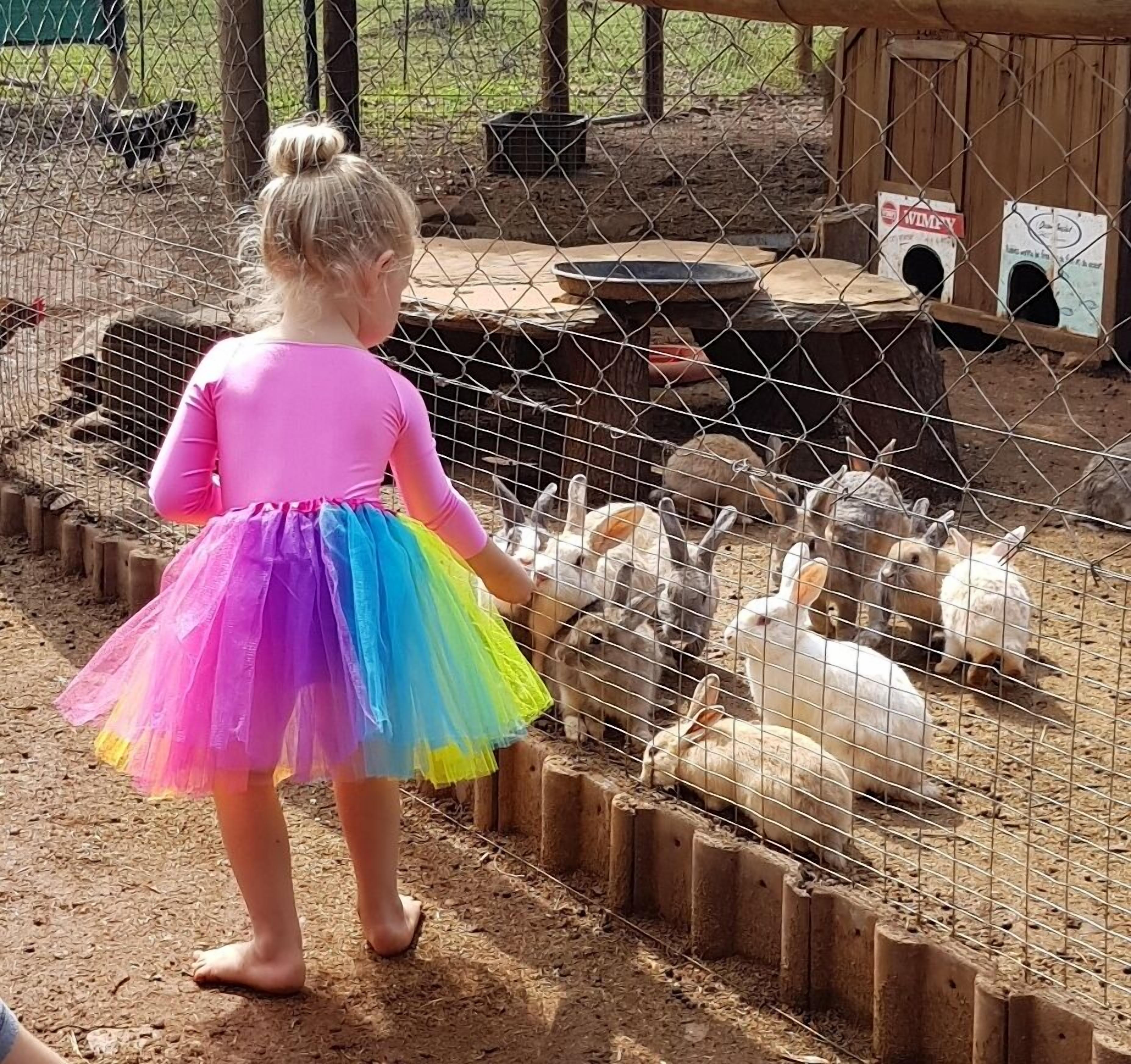 Una niña con una blusa rosa y falda de arcoíris parada en un área cercada junto a patos.