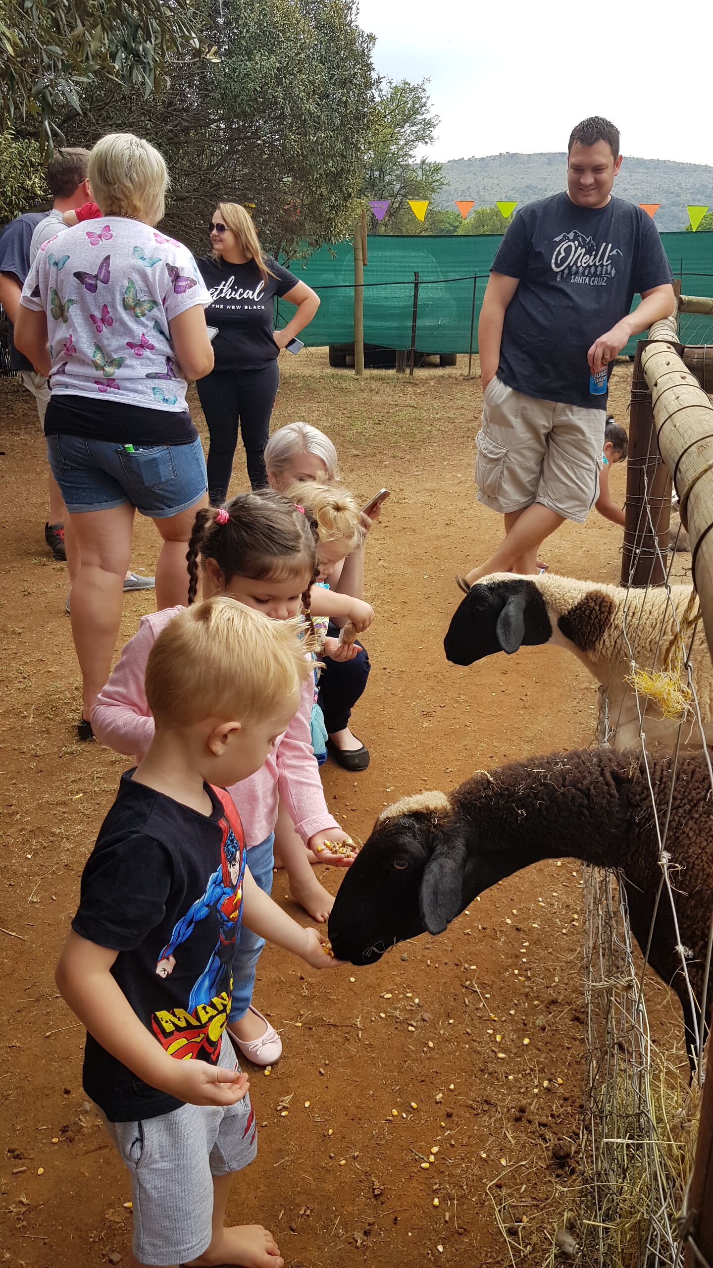 A group of people, including children, feeding a goat at a farm.