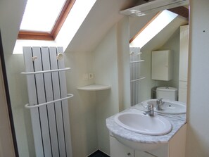 Shower, hair dryer, towels - CORPS DE FERME - 2 GITES - PRIVATE SWIMMING POOL (Vailhourles)