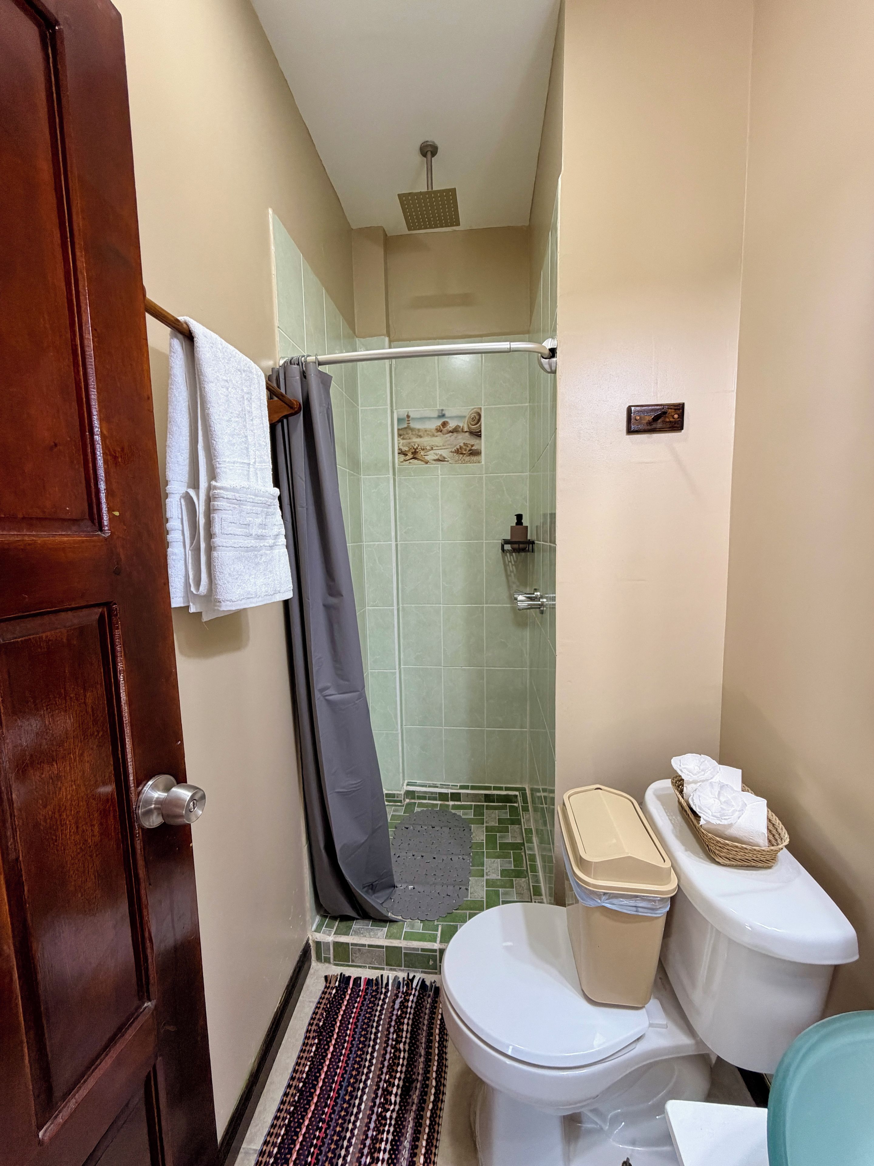 Un baño con ducha, inodoro y puerta de madera.