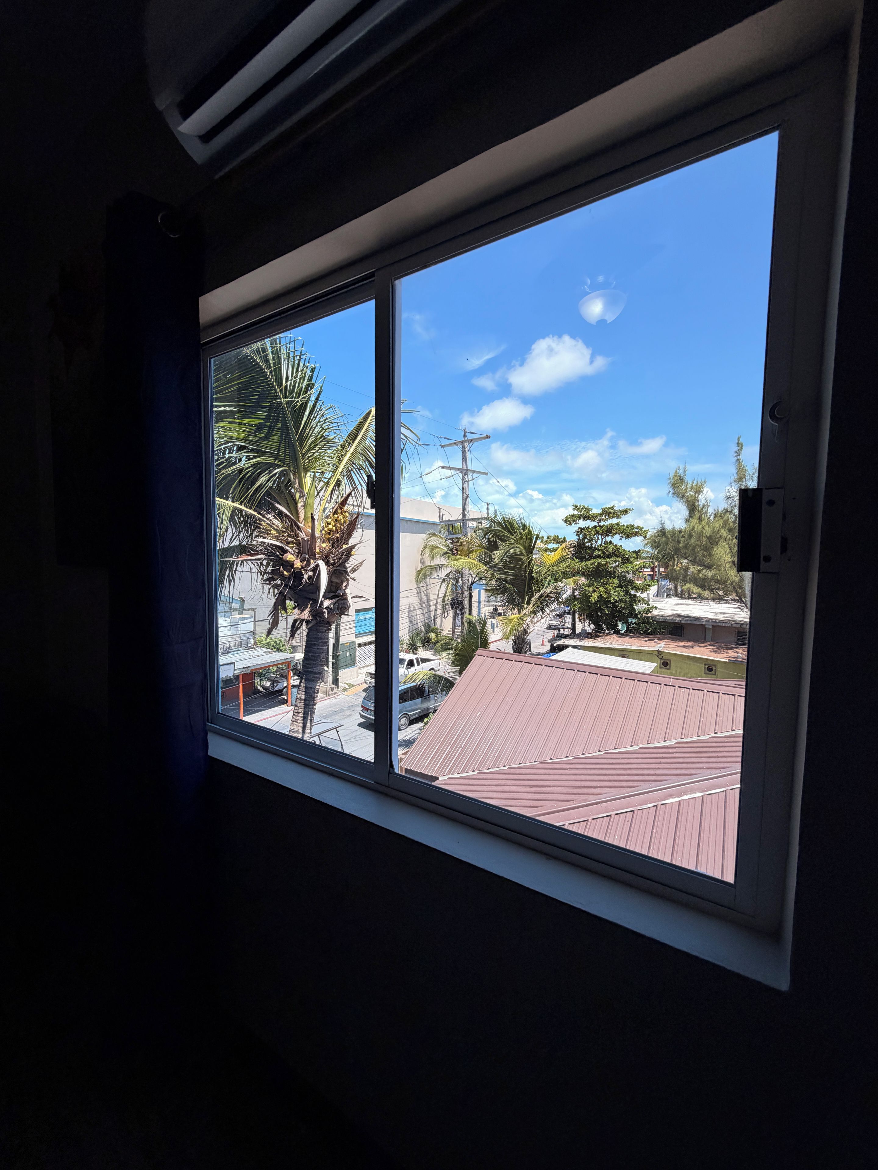 A window with a view of a street, palm trees, and a building with a red roof.