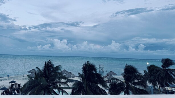 A beach with palm trees, a lifeguard tower, and a thatched umbrella.