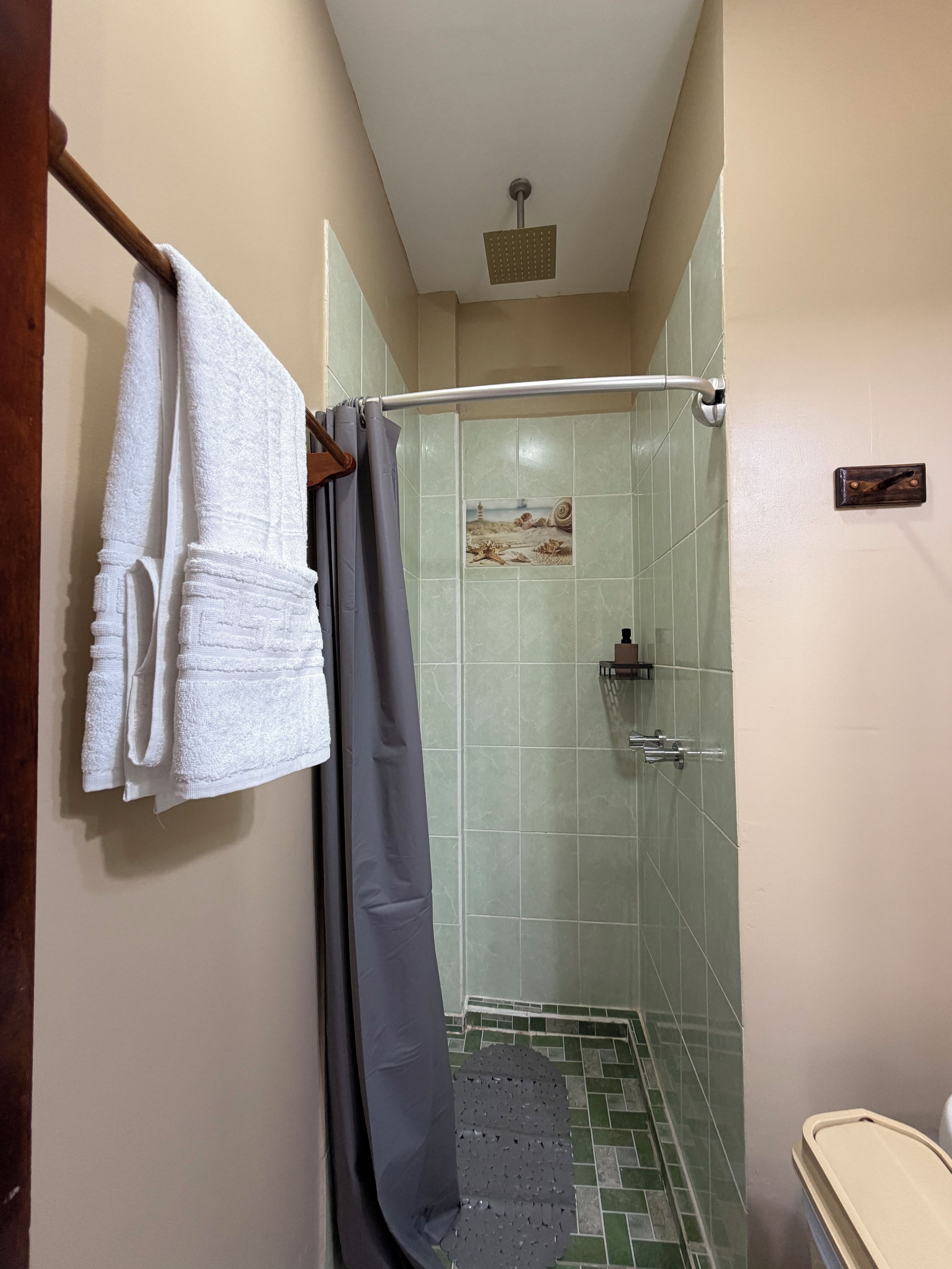 Un baño con ducha, un perchero con toallas y un cortinón de ducha.