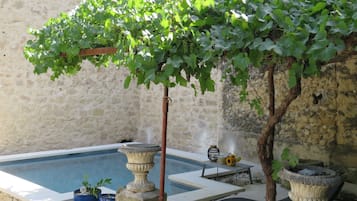 Una piscina al aire libre, una piscina natural