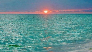 Plage à proximité, chaises longues, serviettes de plage