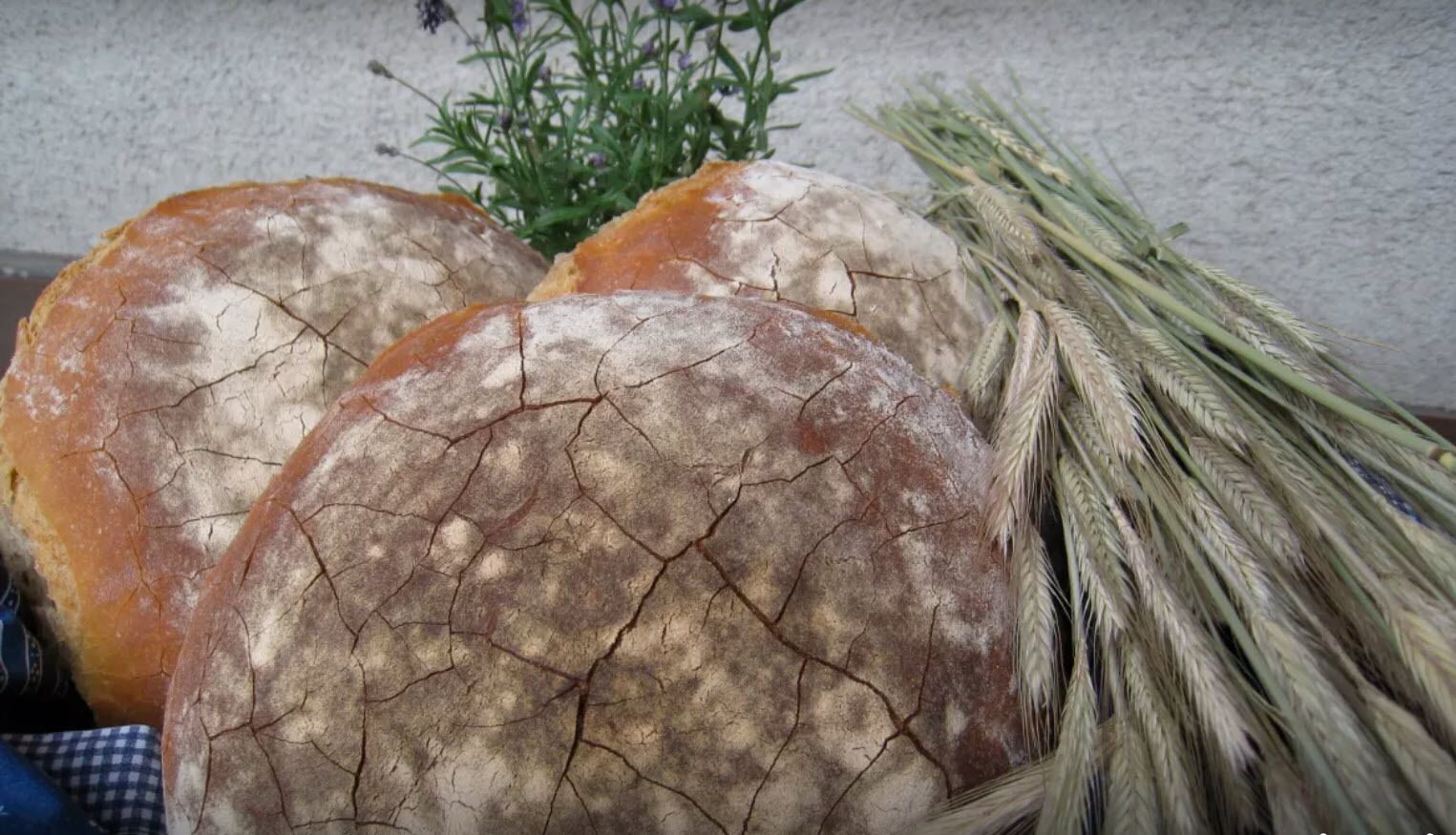 Une miche de pain à la croûte craquelée, une botte de tiges de blé et une petite plante en arrière-plan.