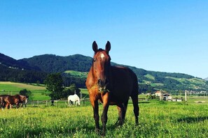 Aktivitäten für Kinder
