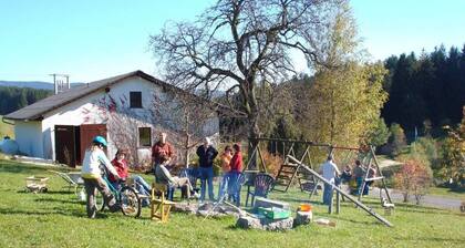 Höllmühle