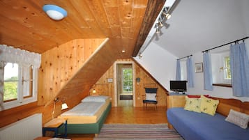 Apartment | 1 bedroom, free WiFi