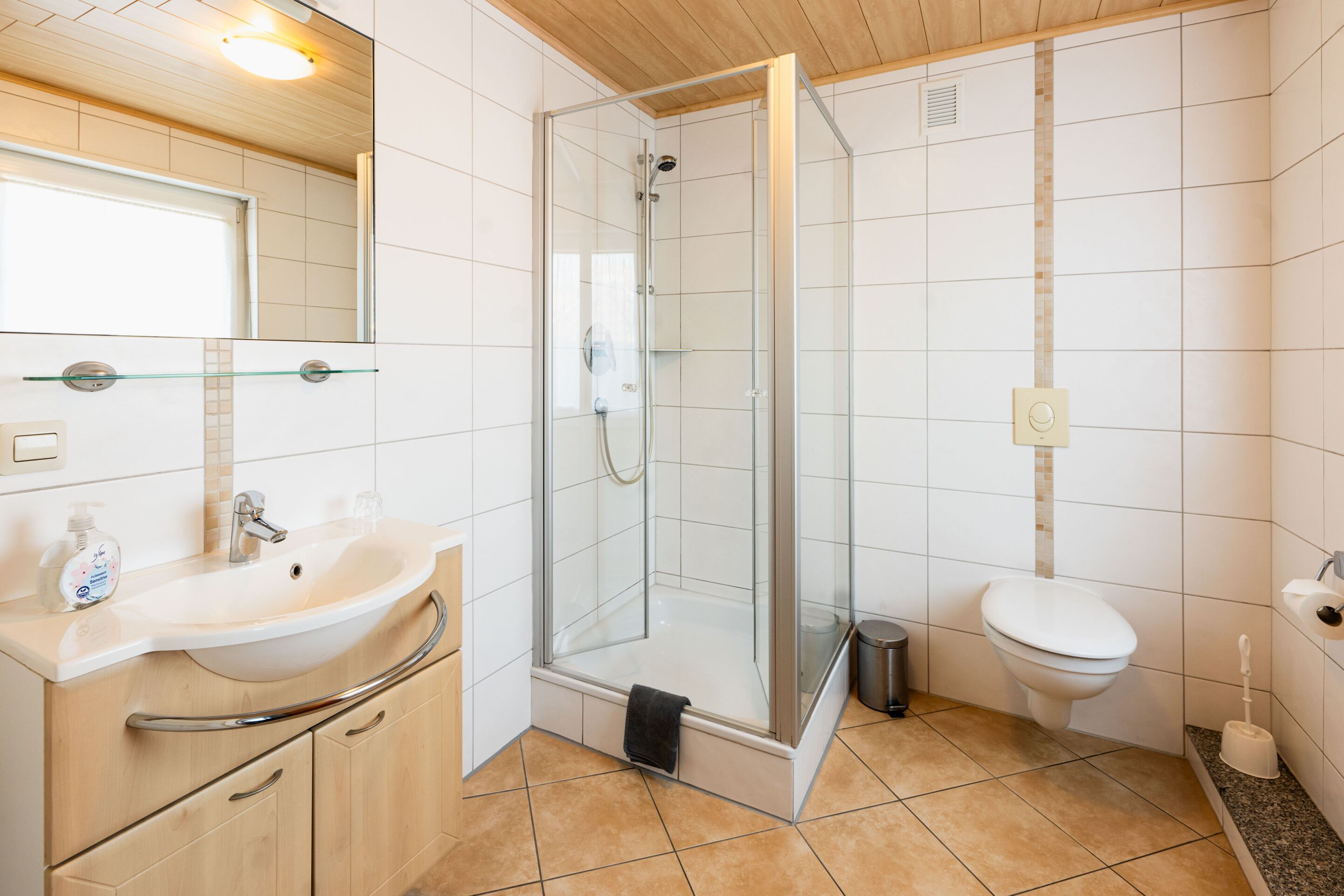 A modern bathroom with a glass-enclosed shower, a sink with a mirror above, and a toilet.