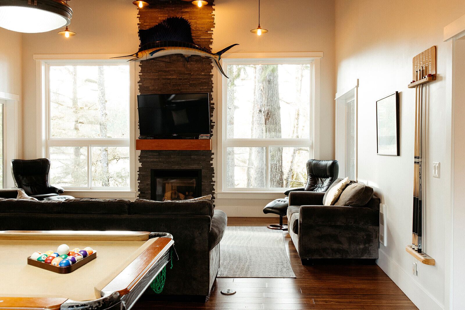TV, fireplace, DVD player, video library