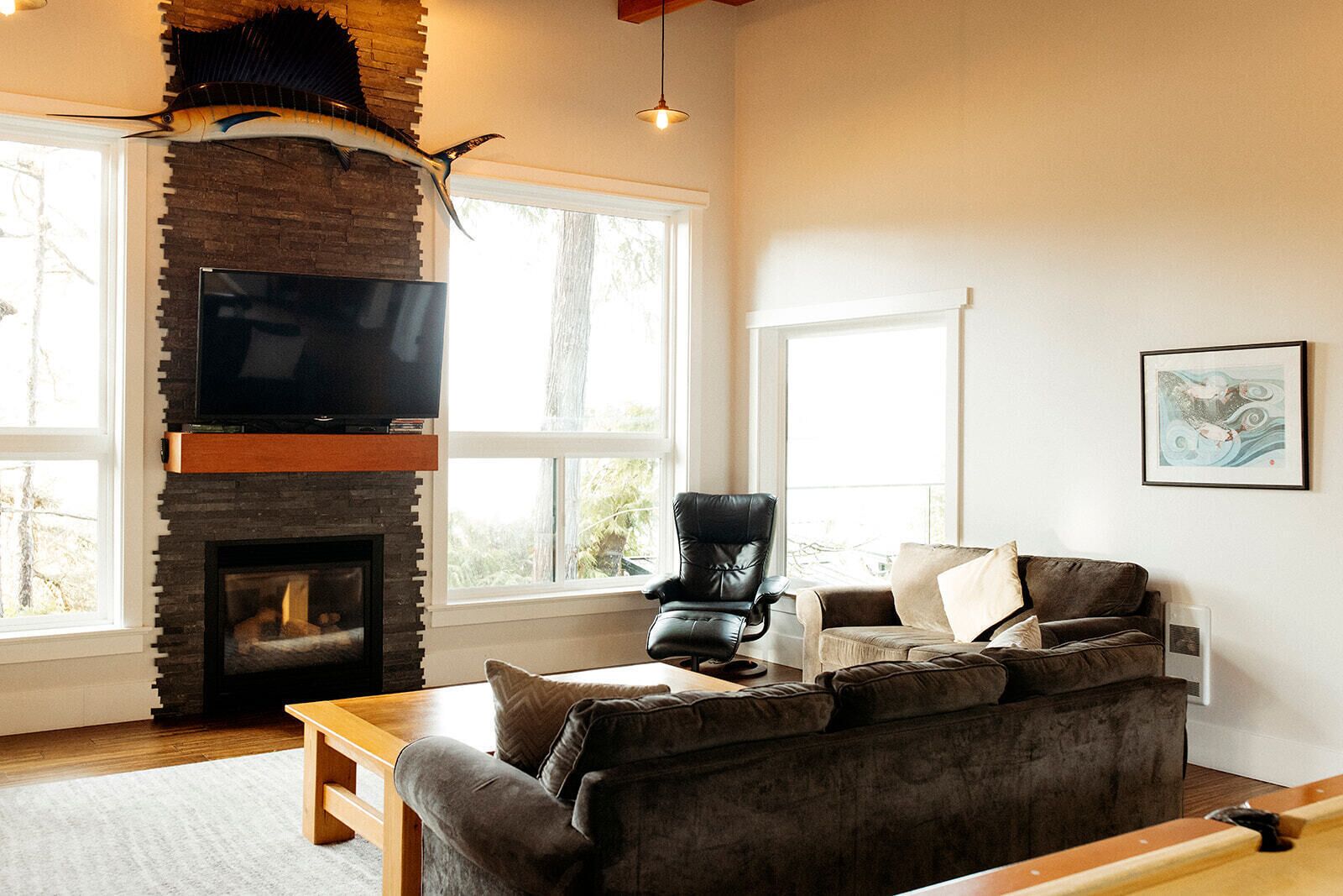 Téléviseur, foyer, lecteur de DVD, sélection de films