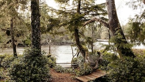 A forested area with a wooden dock leading to a body of water. - Cozy home in Tofino w/ hottub (Tofino)