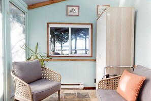 電視、壁爐、DVD 播放機