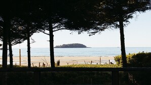 Vista de una playa con un cerco de madera, árboles y una isla distante.