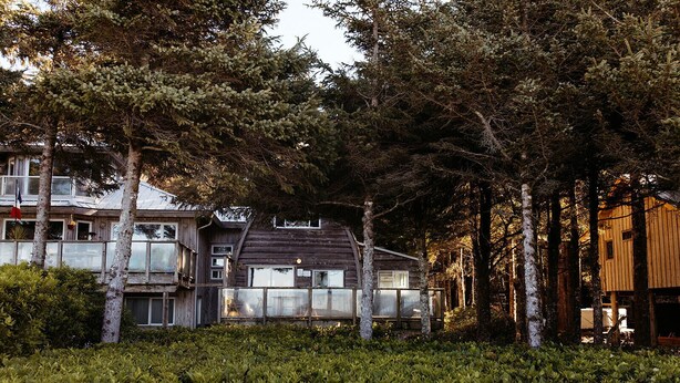 Un edificio de estilo cabaña rodeado de un bosque frondoso.
