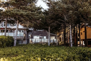 Um edifício em estilo de cabana, rodeado por uma floresta densa.