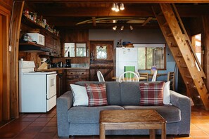 電視、壁爐、DVD 播放機