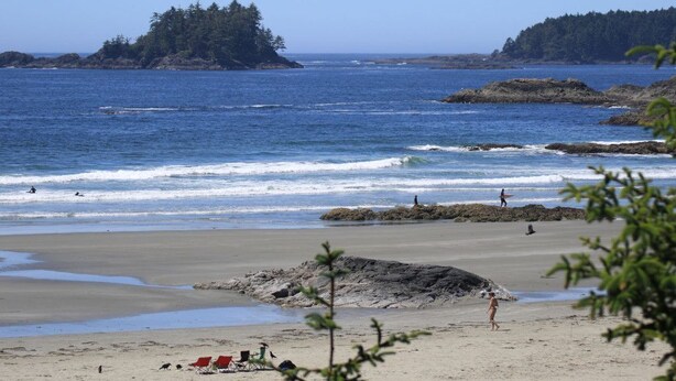 A beach with rocky outcrops, calm water, and a forested island in the distance. - The Yacht House, Tofino B.C. (Tofino)